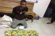 BNN Tangkap Bandar Narkoba...