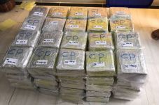 Sergap Bandar Narkoba...