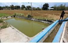 Program Padat Karya...