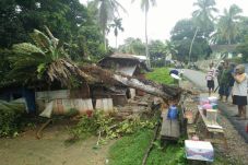 Rumah Warga Tertimpa...