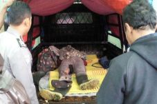 Bermaksud Berteduh,...