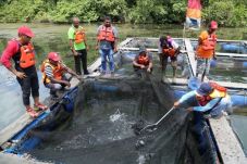 Freeport Dukung Petani...