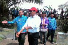 Mentan Panen Raya Padi...