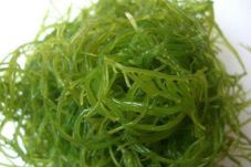 4 Manfaat Rumput Laut...