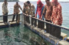 Hadiri HUT Ke-16 Kepulauan...