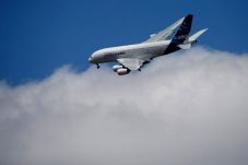 Emirates Diprediksi...