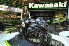 Kawasaki ZZR1400, Keluarga...