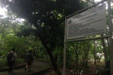 Hutan Kota Srengseng,...
