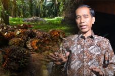 Jokowi Desak Diskriminasi...