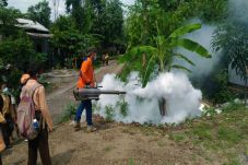 Perangi Nyamuk, Perindo...