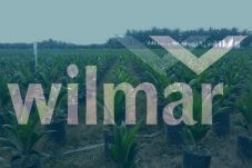Wilmar Pelopori Kebijakan...
