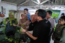 Balai Karantina Pantau...
