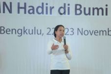 Agen Pembangunan, BUMN...