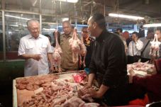 Distribusi Tersendat...