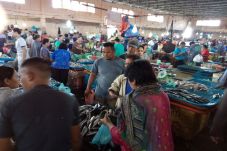 Ikan Laut Langka di...