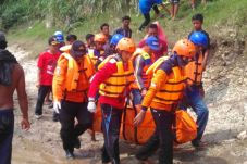 Batang Pisang Terlepas,...