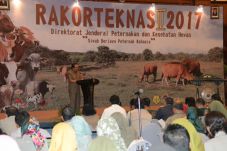 Swasembada Daging, Pemprov...