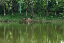 Minimalisir Daerah Banjir,...