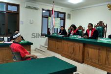 Pelihara Buaya Muara,...
