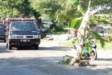 Warga Tanam Pohon di...