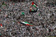 Aksi Bela Palestina,...