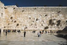 Palestina Tolak Tembok...