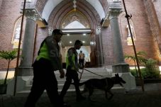 Penjinak Bom dan Anjing...