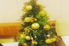 Pohon Natal Jonghyun...