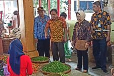 Stok Pangan dan Harga...