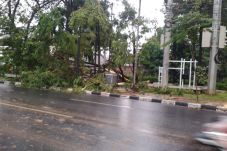 Hujan Angin, Sejumlah...