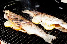 Tahun Baru Bakar Ikan?...