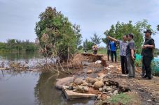 Tanggul Muara Sungai...