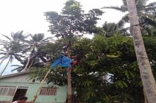 Calon Gagal Diusung,...