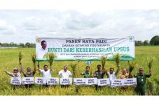 Panen Raya di DIY, Kepala...