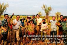 Cirebon Penyangga Pangan...