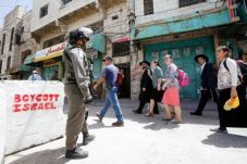 Pro Palestina, Israel...