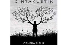 Cintakustik, Album Sufi...