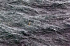Gelombang Laut Capai...