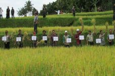 Teknologi Salibu: Petani...