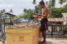 Ikan Segar Langka, Harga...