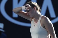 Petra Kvitova Kesulitan...