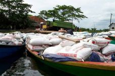 Ratusan Hektare Sawah...