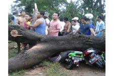 Puting Beliung di Jombang,...