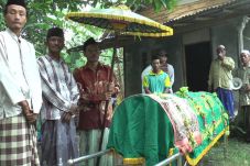 Pesta Miras Oplosan,...