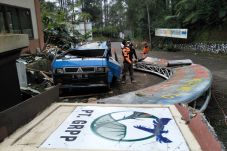Pohon Tumbang Hancurkan...