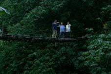 Periksa Jembatan Gantung,...