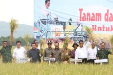 Mentan Optimistis Indonesia...