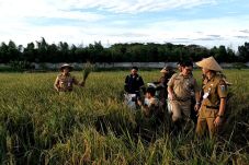 Panen Padi, Anies Ingin...