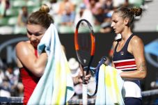 Pliskova Hanya Bisa...