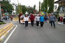 Ada Boneka Orangutan...